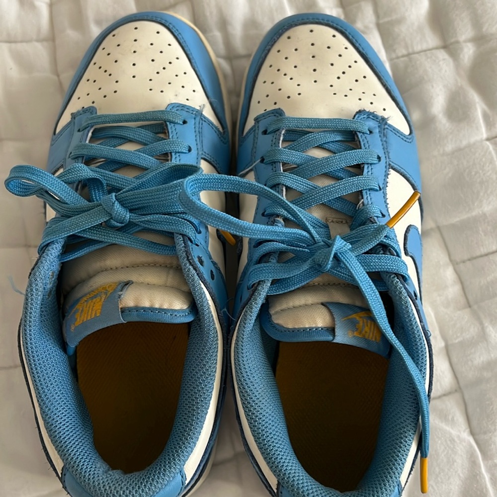 Nike Low Coast Dunks Size 7.5